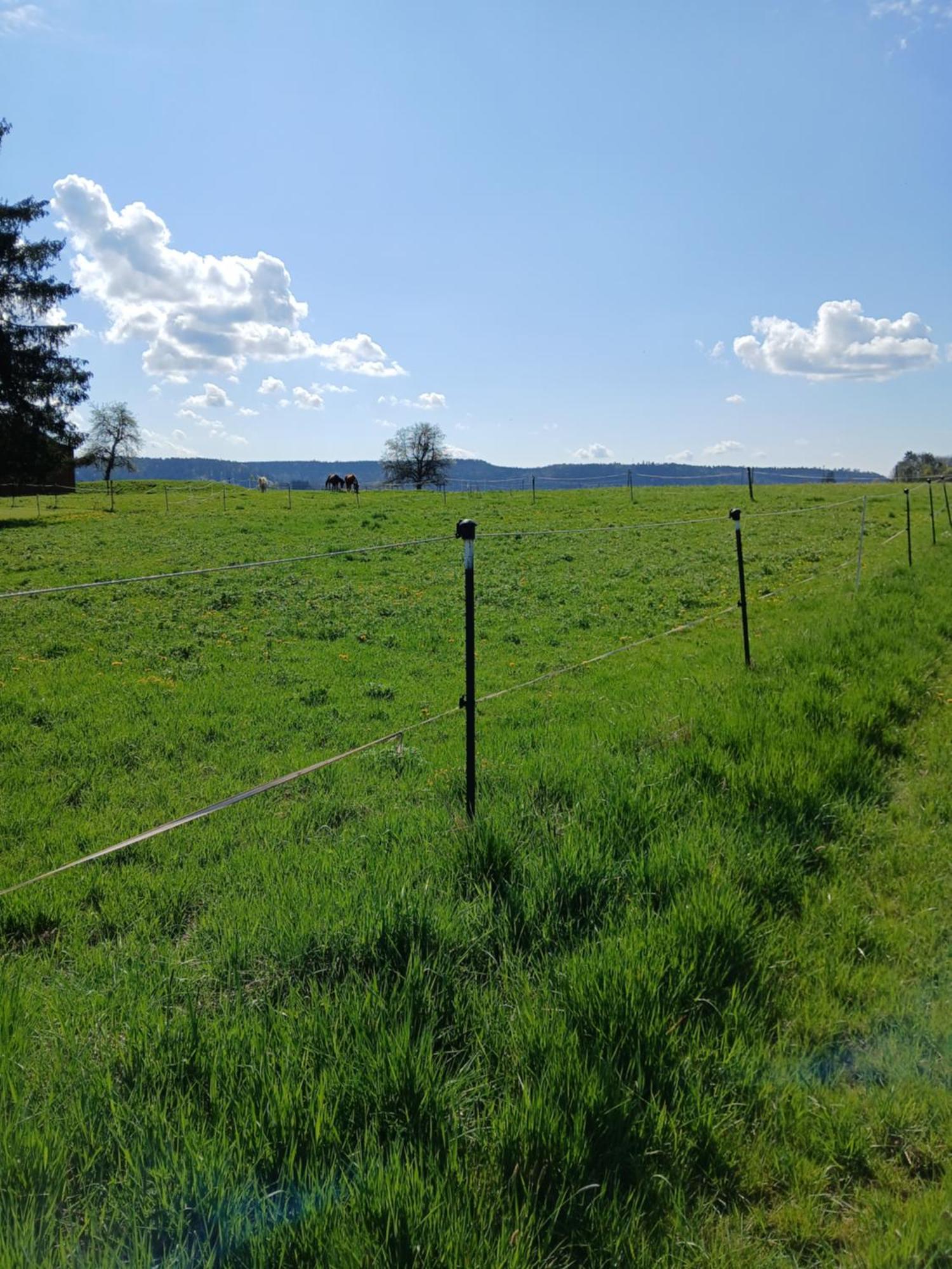 Landgasthof Zum Seehof Rottweil Eksteriør billede