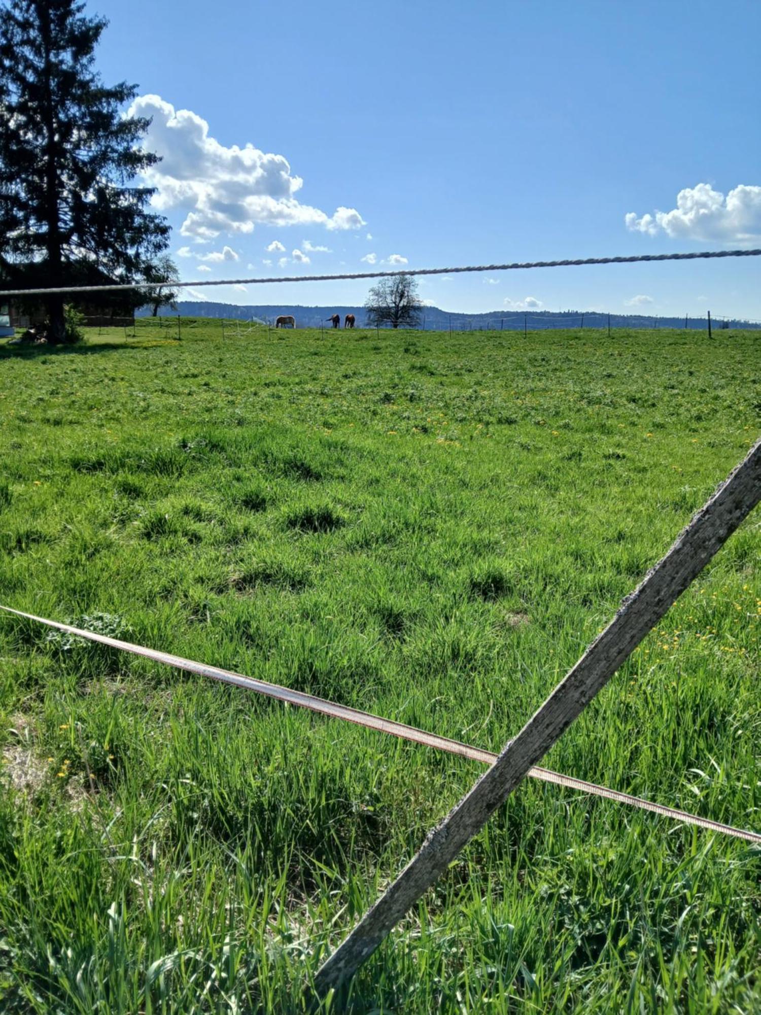 Landgasthof Zum Seehof Rottweil Eksteriør billede