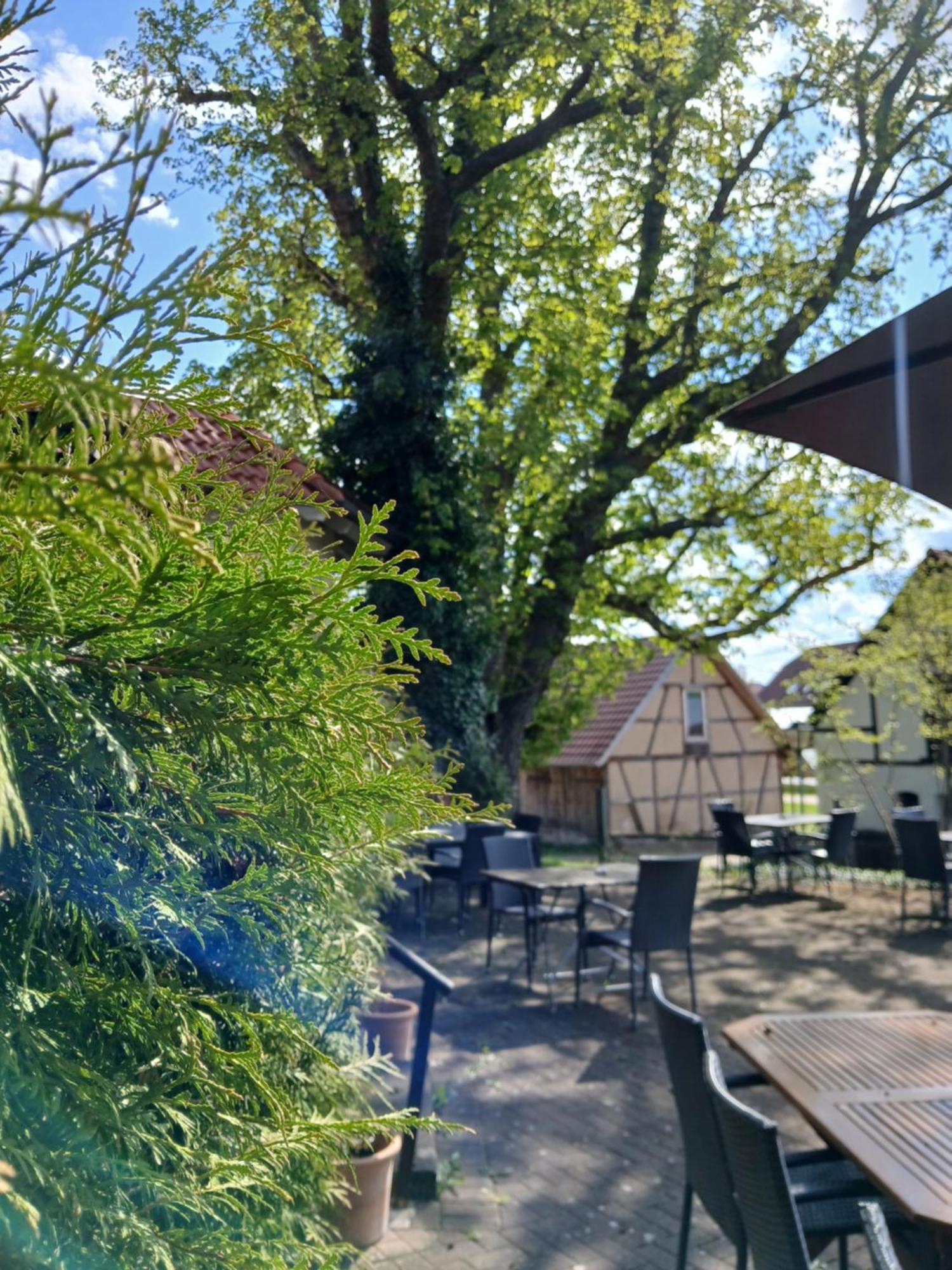 Landgasthof Zum Seehof Rottweil Eksteriør billede