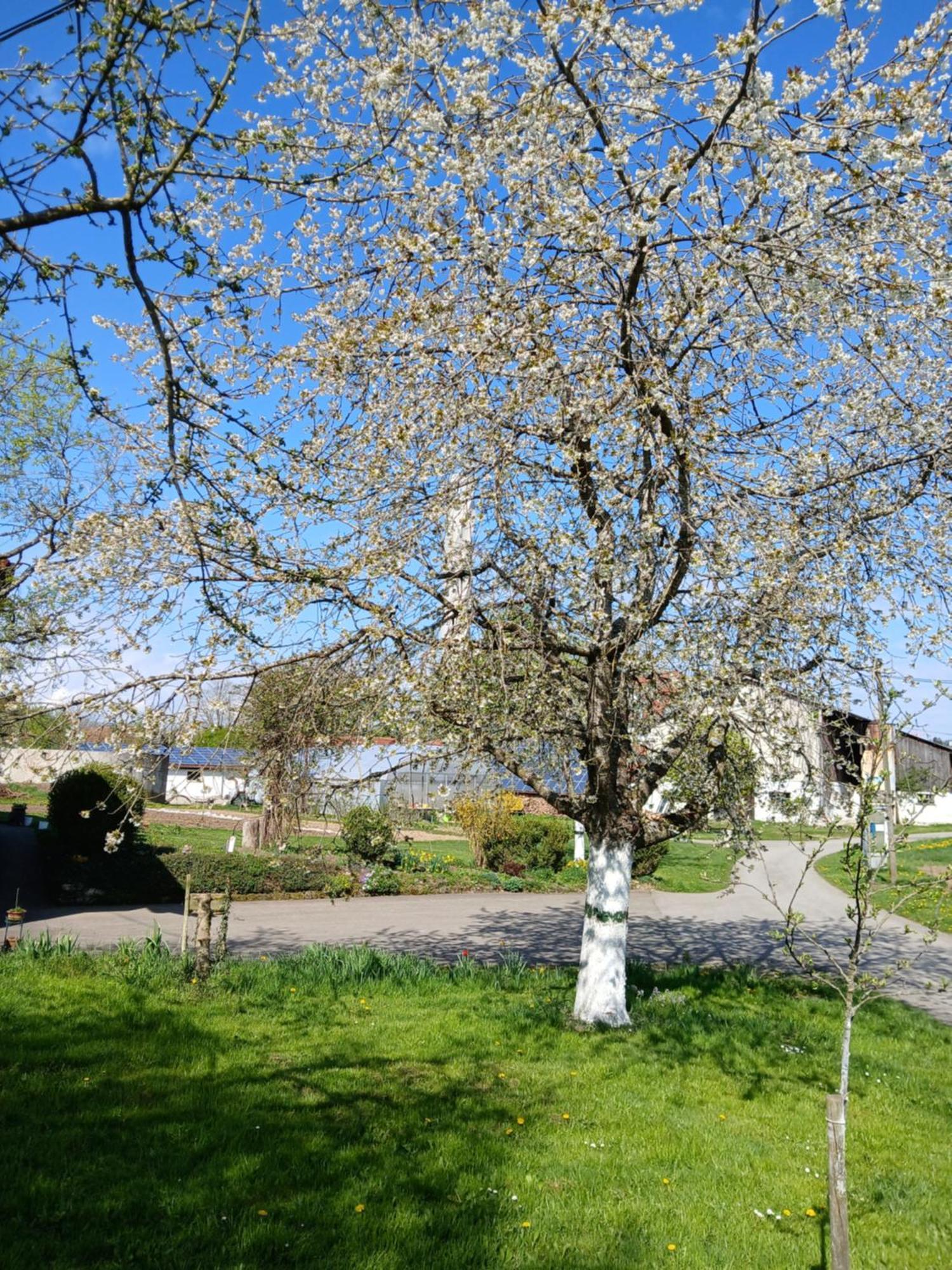 Landgasthof Zum Seehof Rottweil Eksteriør billede